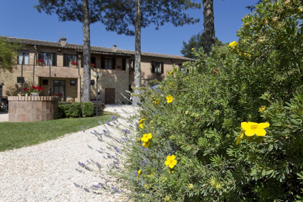 Agriturismo San Galgano Chiusdino Extérieur photo