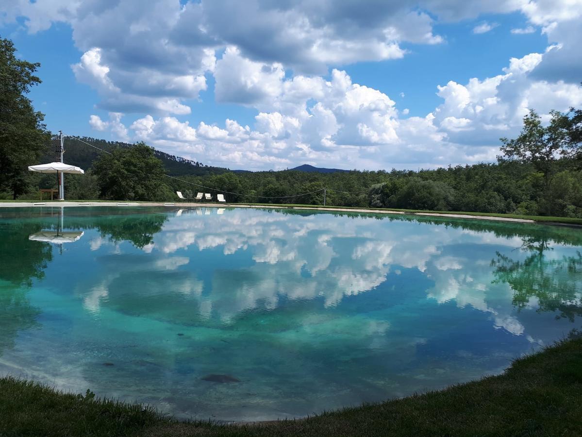 Agriturismo San Galgano Chiusdino Extérieur photo