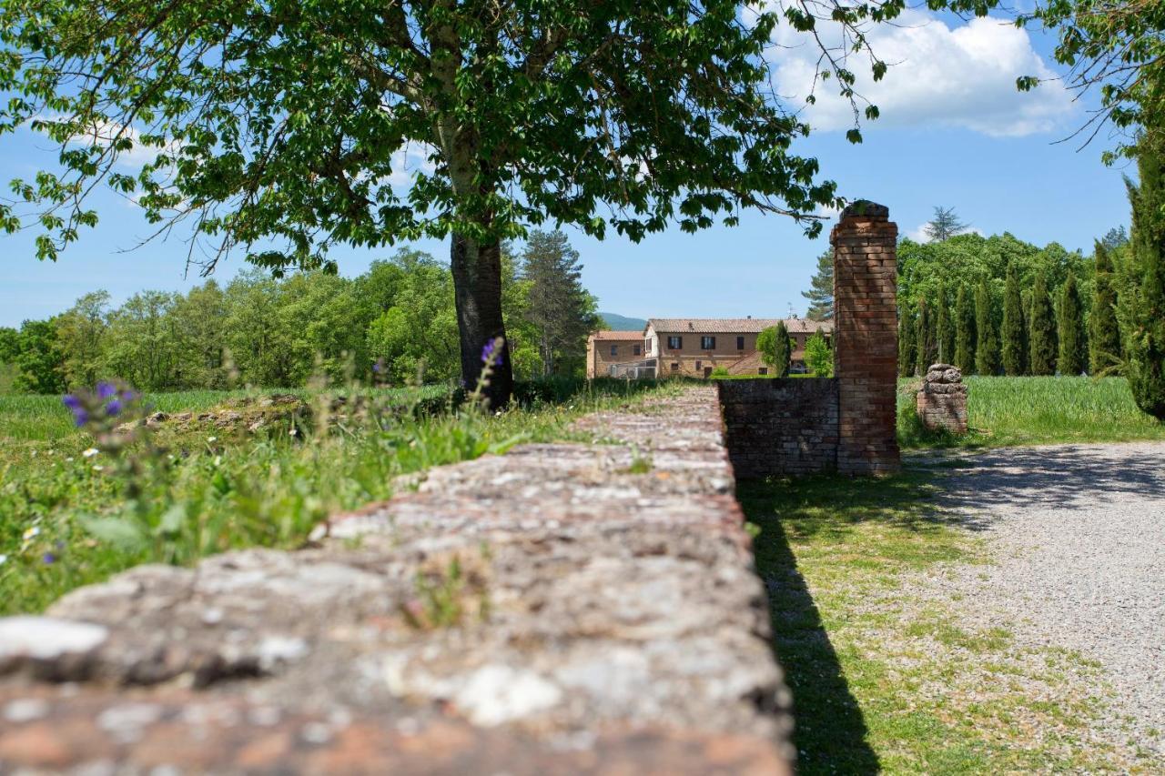 Agriturismo San Galgano Chiusdino Extérieur photo